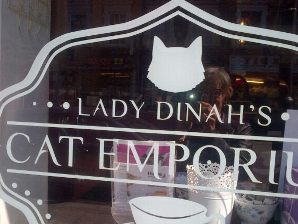 Lady Dinah's Cat Emporium Jane Howze