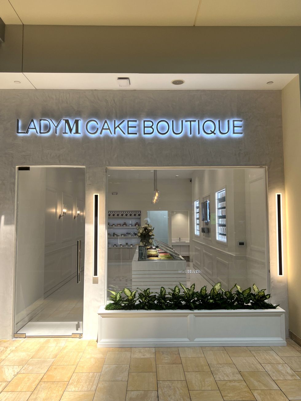 Lady M exterior