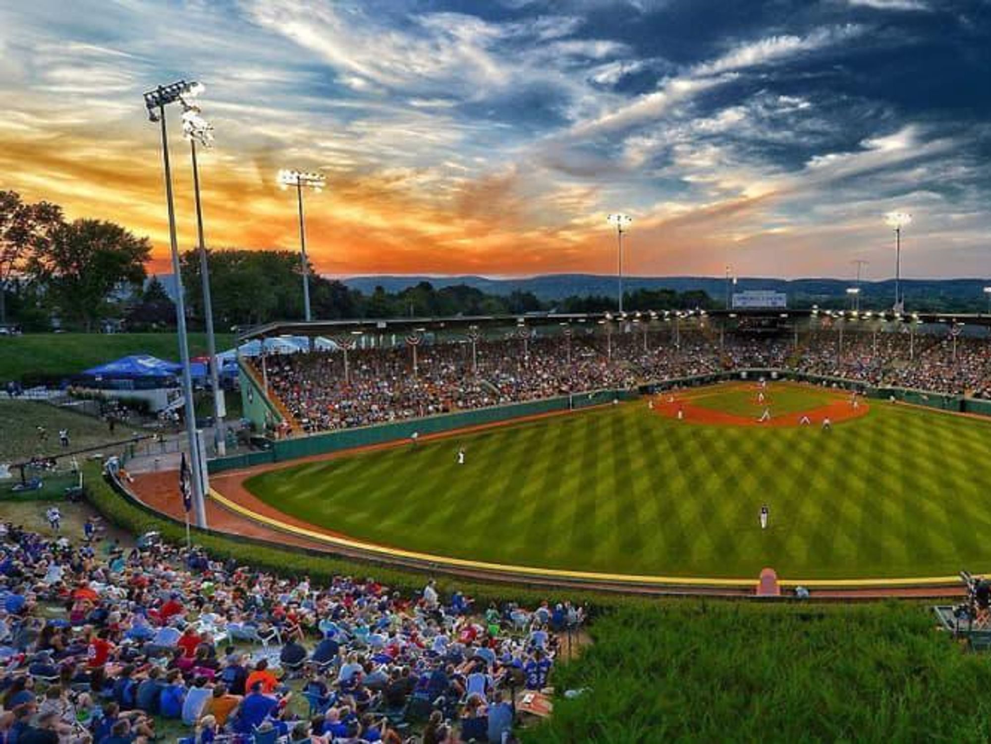 Ken Hoffman reveals the ultimate insider guide to the Little League World  Series — and how he fired The Boss - CultureMap Houston