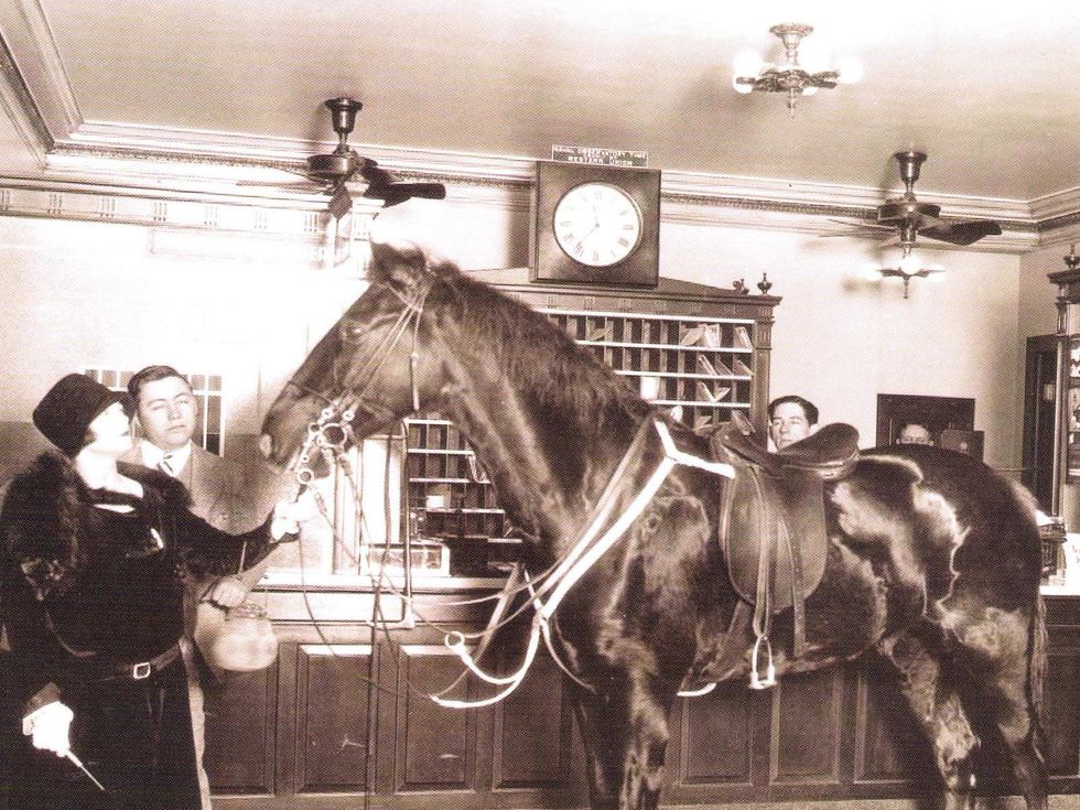 Lancaster Hotel Historic Photo Equine Star Phantom and his owner, Vaudeville actress Betty Rand, at the registration desk of what was then called the Auditorium Hotel (taken in January 1927).