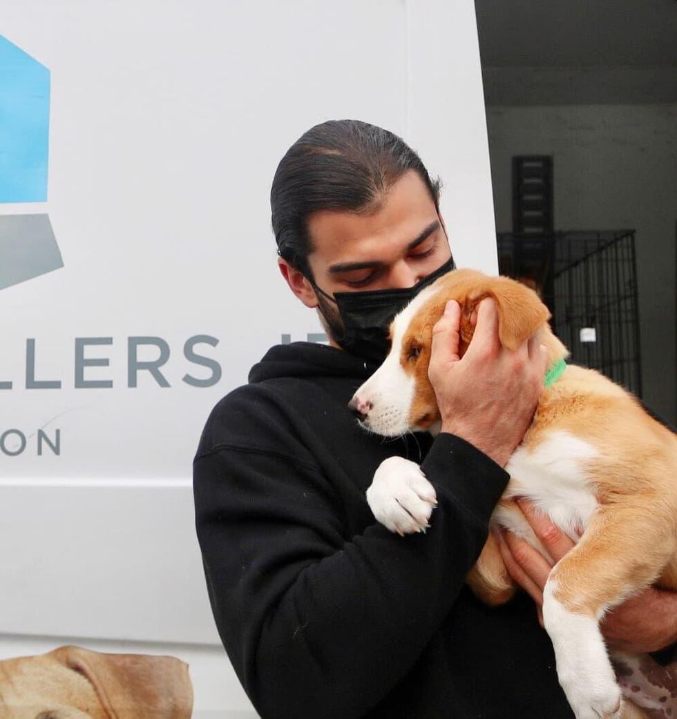 Lance McCullers, Jr. Foundation dogs