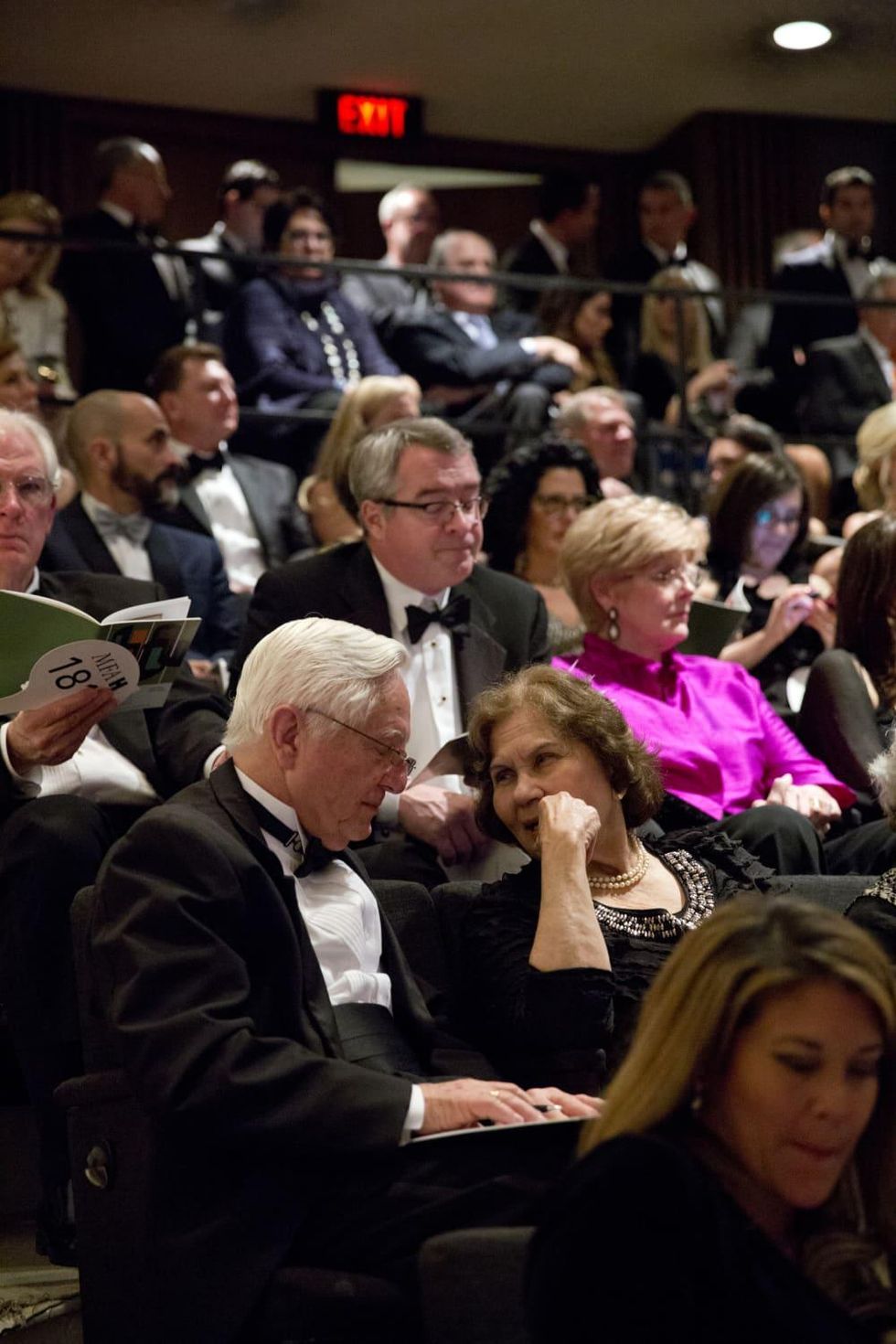 Latin American Experience auction