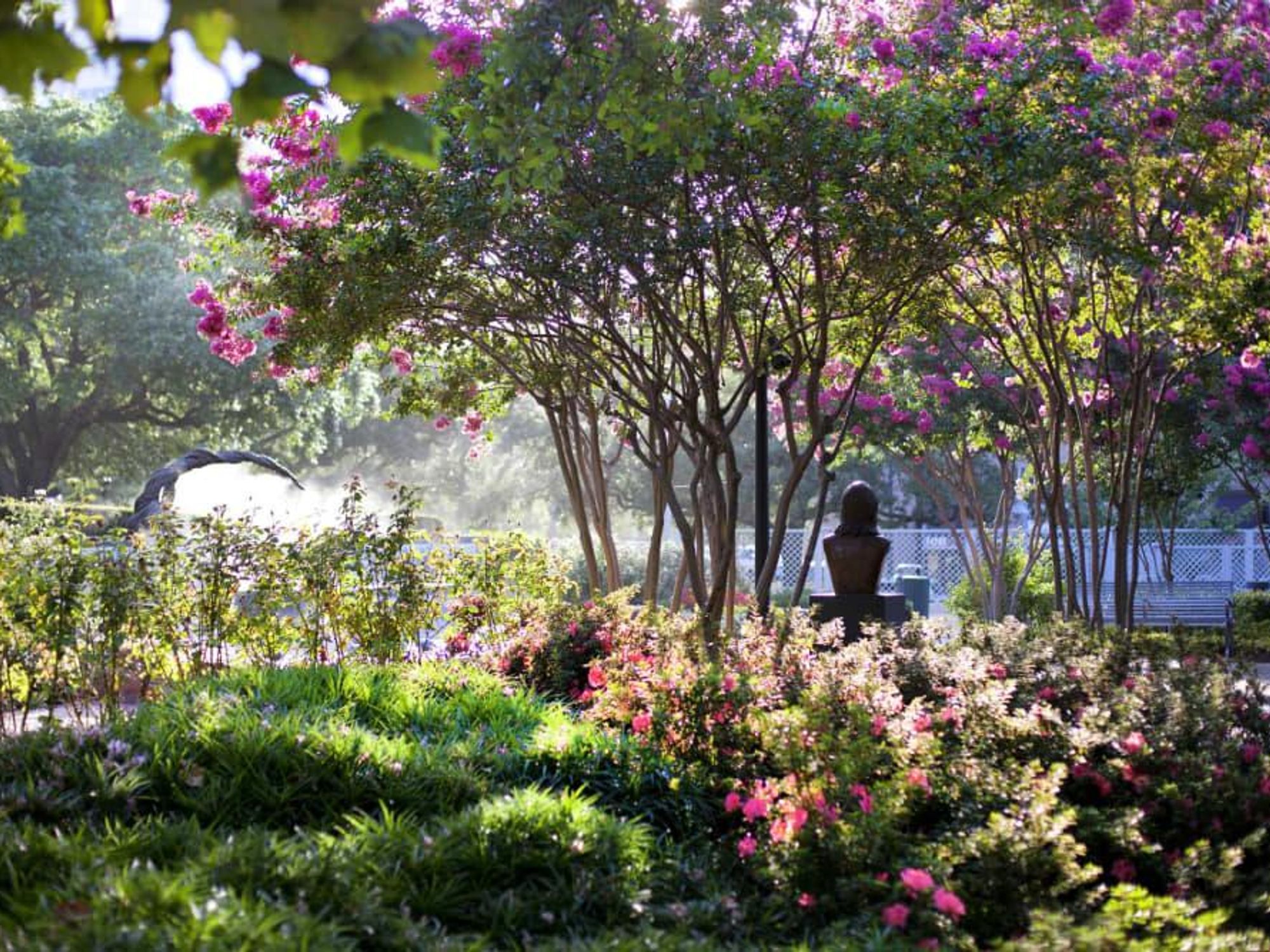 Lauren's Garden Houston