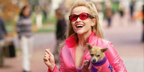 Legally Blonde, a pita party, a brai beer bash, and more lead things to do in Houston this weekend - Vimarsana News