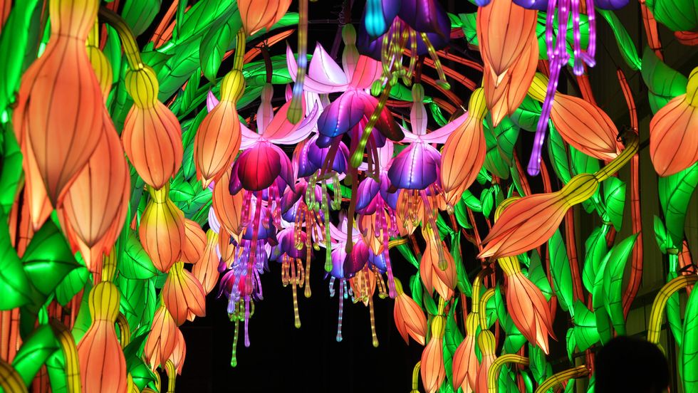 Light display of flowers and leaves