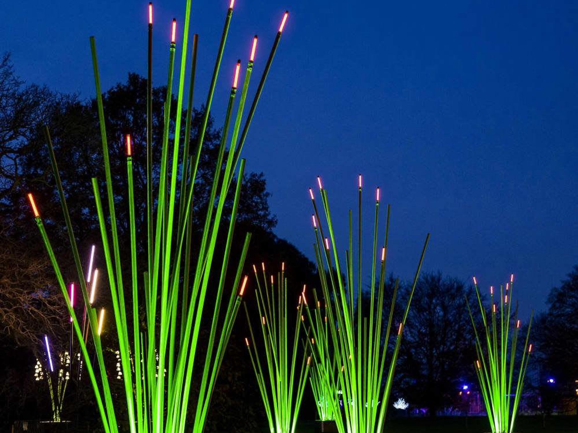 Lightscape Houston Botanic Garden