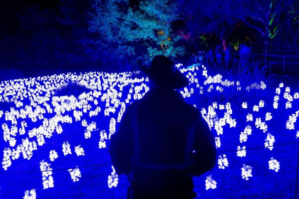 Dazzling immersive light and music experience returns to illuminate