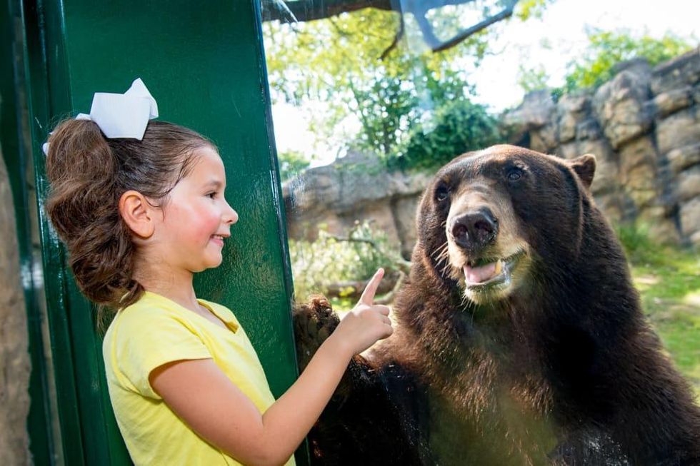 Little girl and black bear