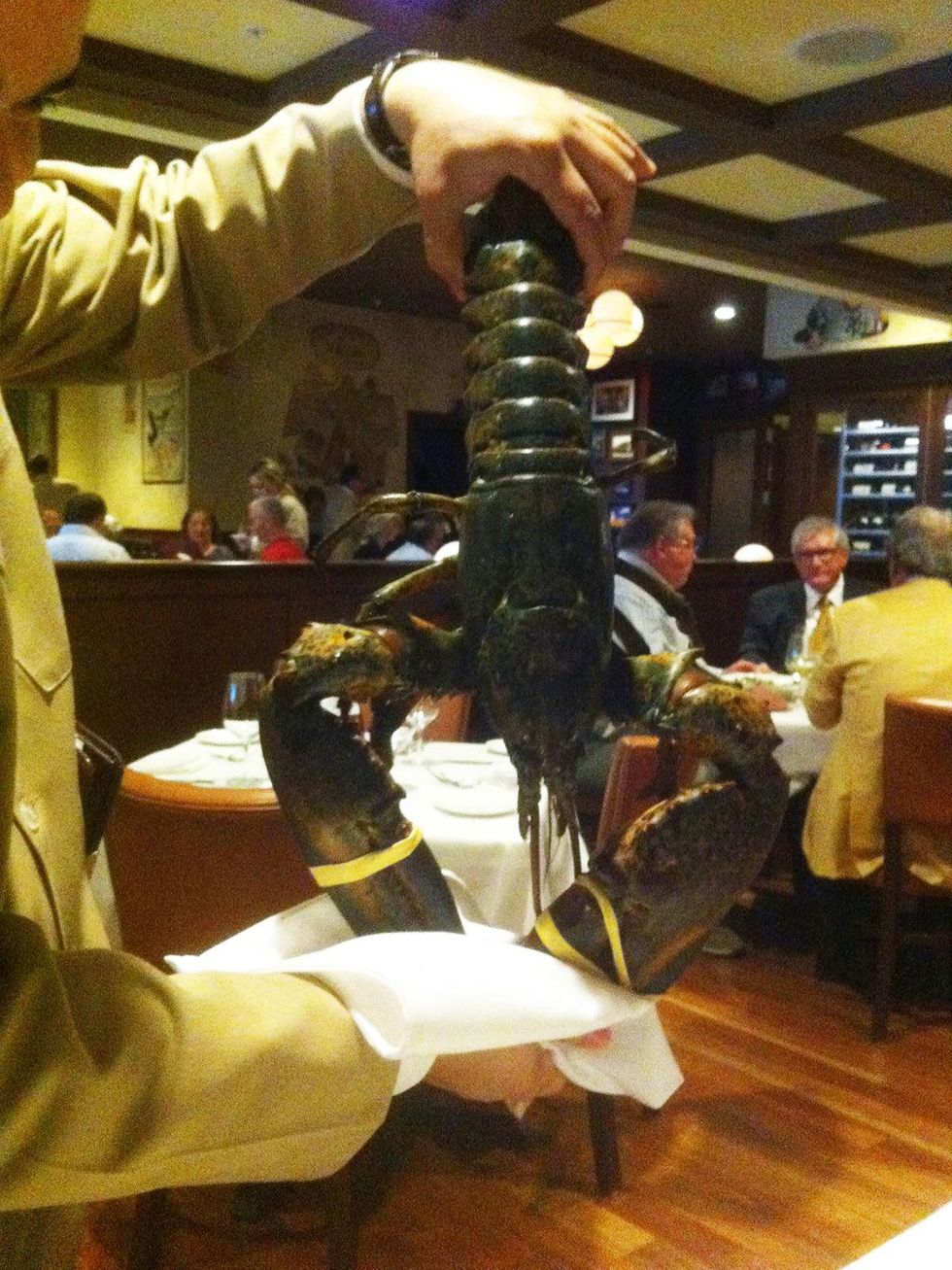 Lobster at Palm Restaurant Houston September 2013