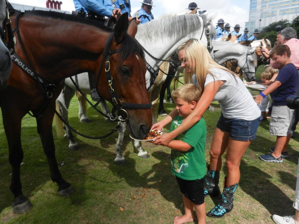 Lone Range horse Silver June 2013