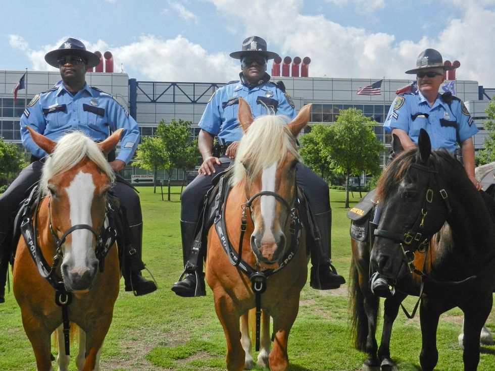 Lone Range horse Silver June 2013