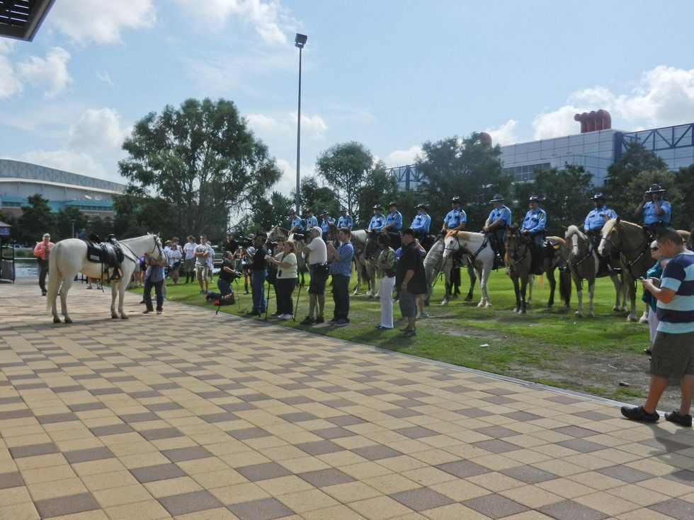 Lone Range horse Silver June 2013