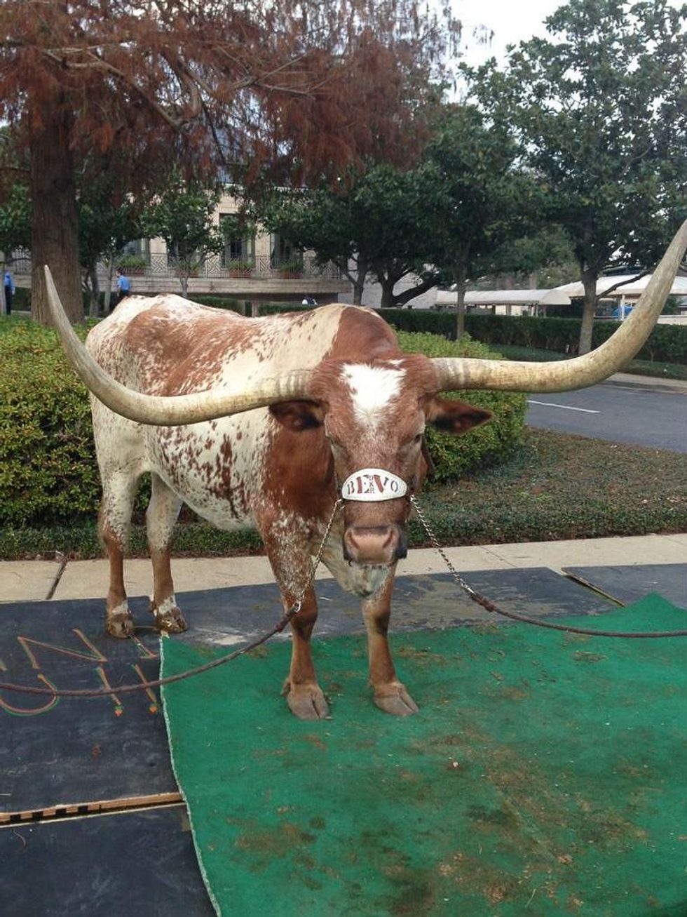 Louis Pearce, memorial service, Bevo, January 2013