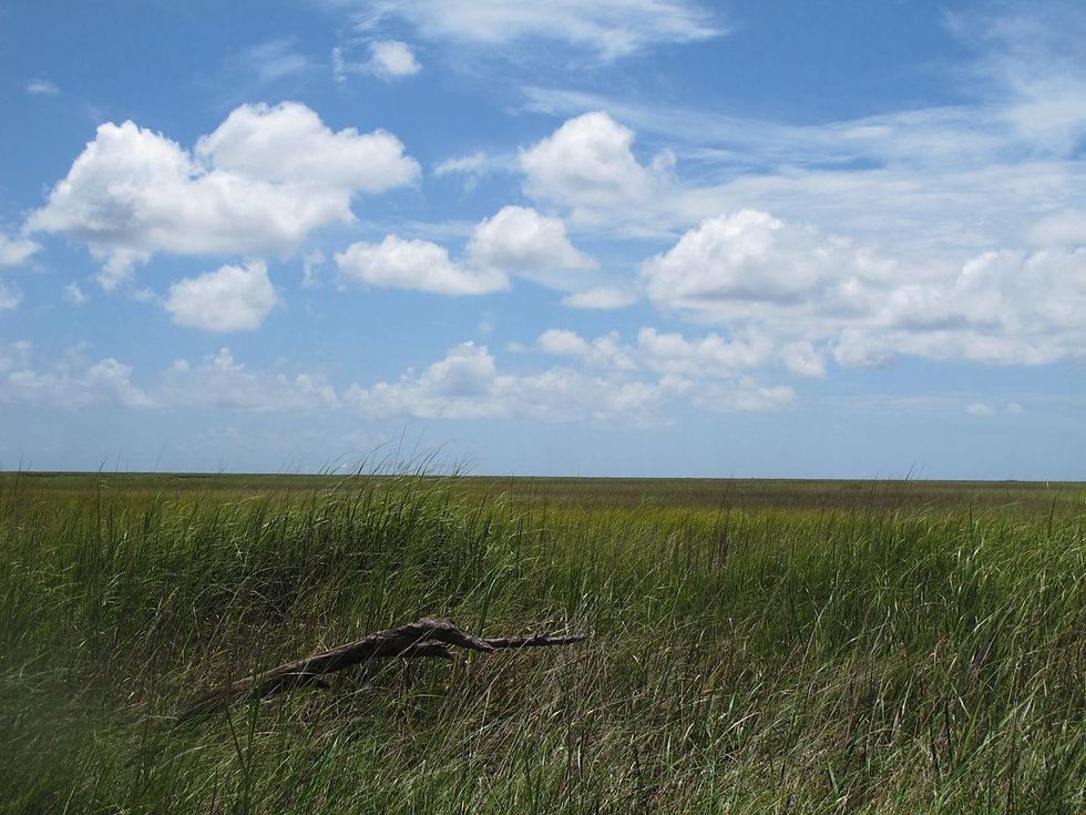 Louisiana scene after BP oil spill