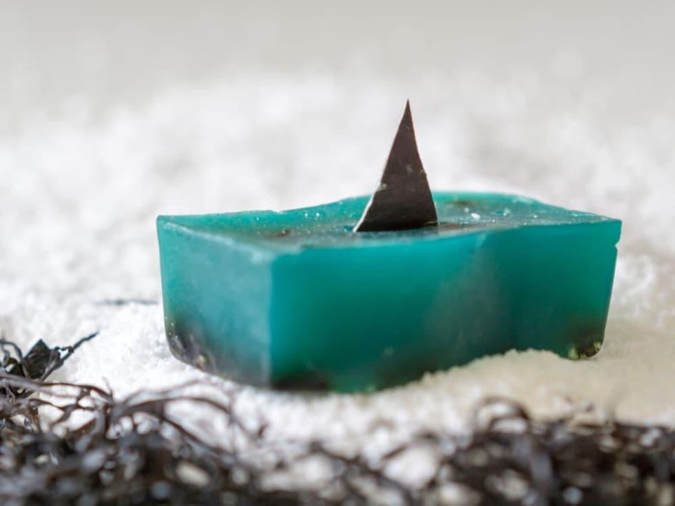 Lush Cosmetics Shark Week soap