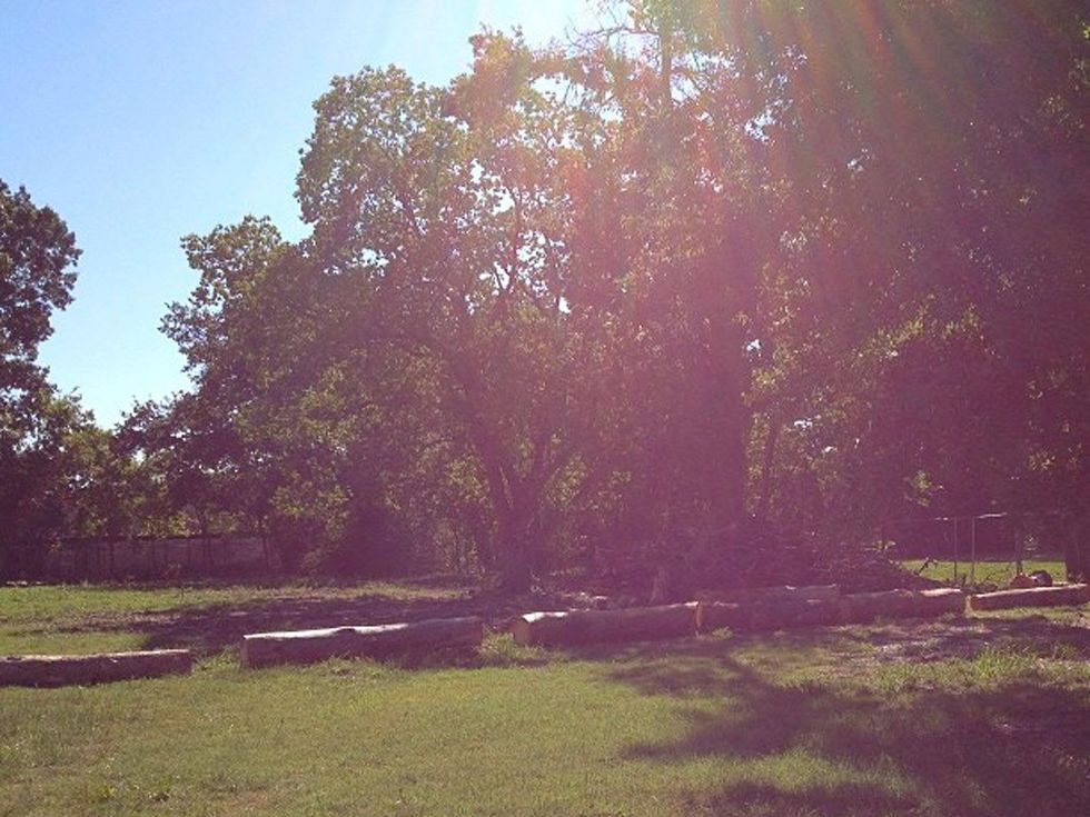 Mangum Food Park October 2013 trees with timber benches