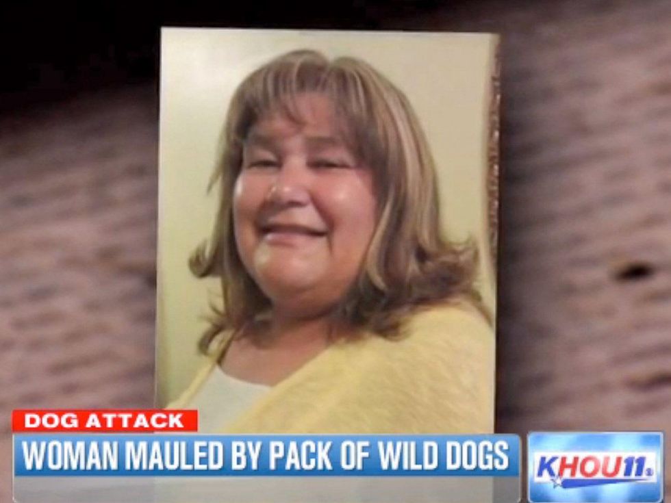 Maria Arcos mauled by pack of wild dogs July 2013 RUN FLAT