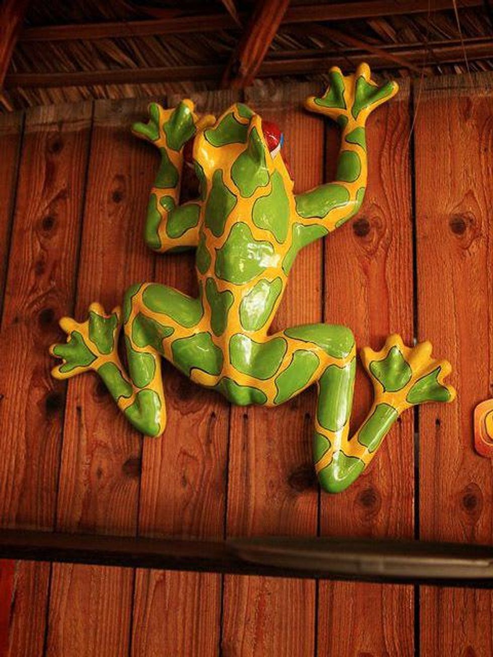 Maria Selma Restaurant Houston ceramic frog