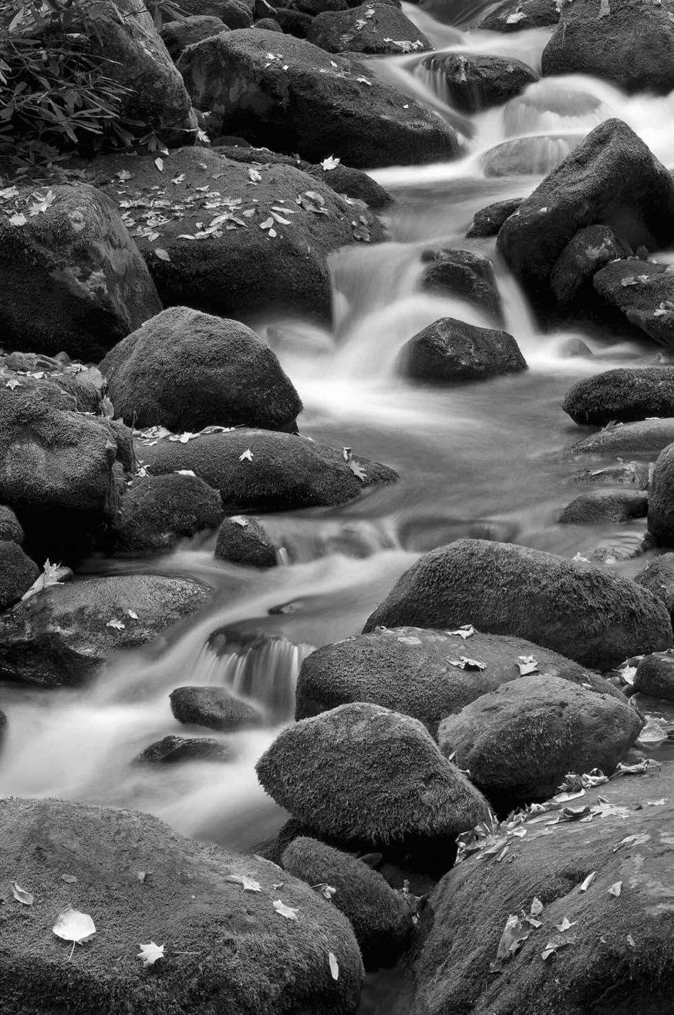 Mark Burns photo of Roaring Fork Branch at Great Smoky Mountain National Park