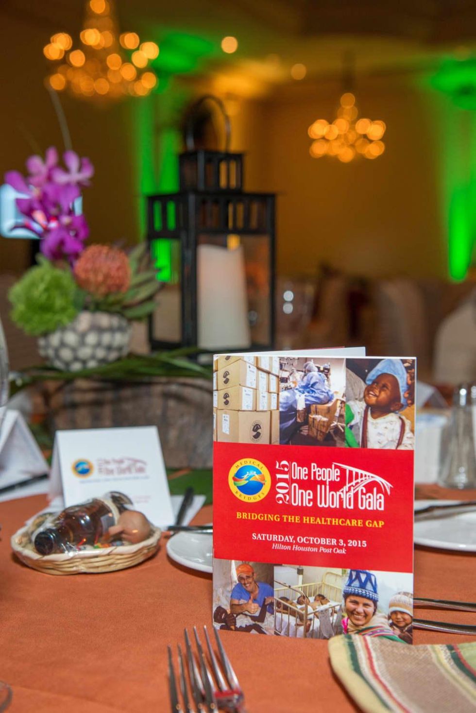 Medical Bridges 2015 program