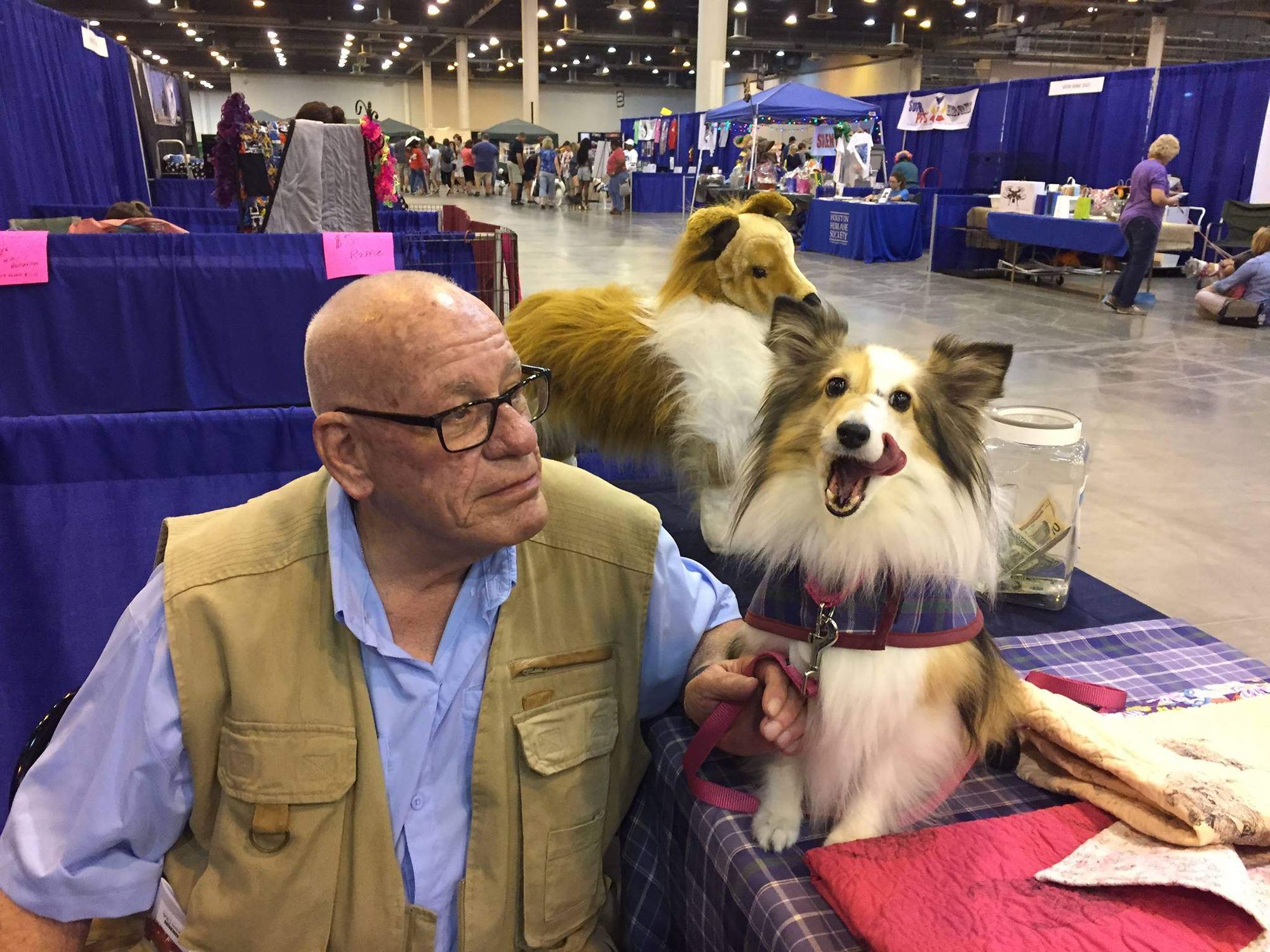 Meet rescue dogs at the World Series of Dog Shows.