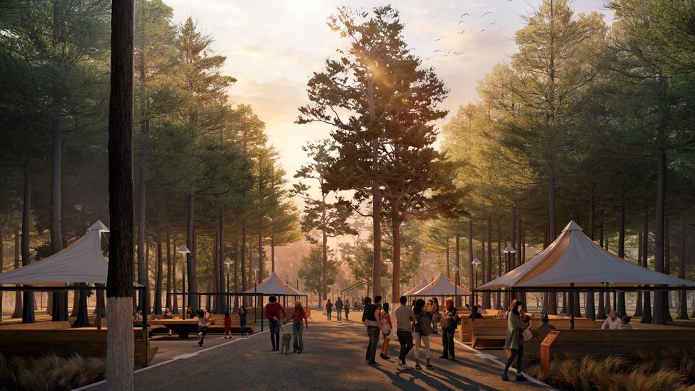 Memorial Groves restoration rendering