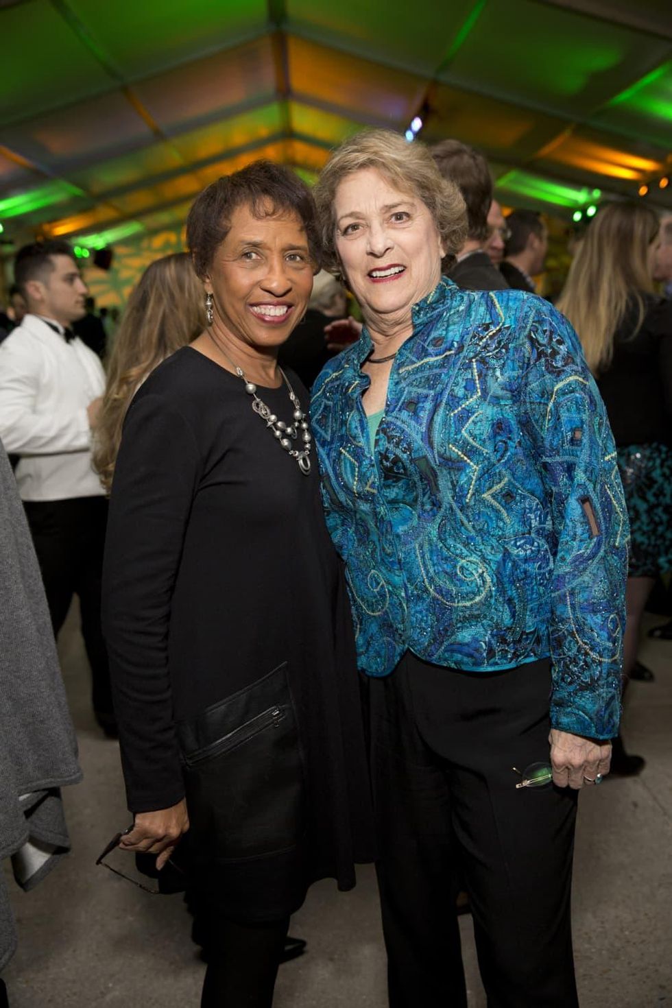 Memorial Park Conservacy Gala, Feb. 2016, Sharon Owens, Ellen Cohen