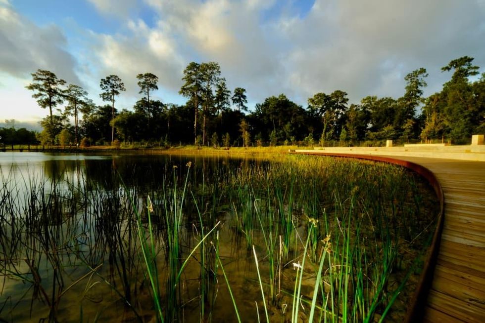 Memorial Park Eastern Glades wetlands