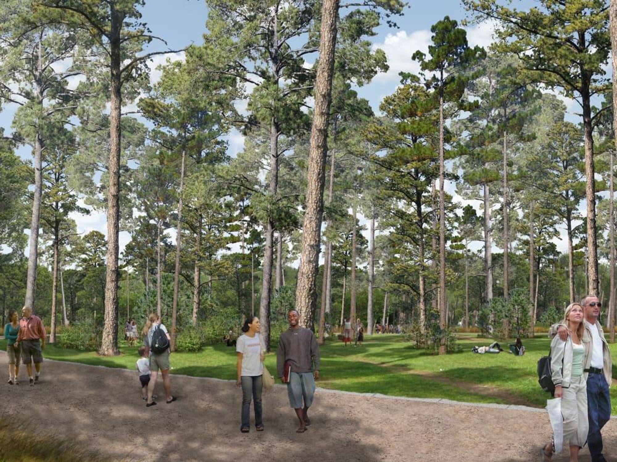 Memorial Park Master Plan Eastern Glades rendering