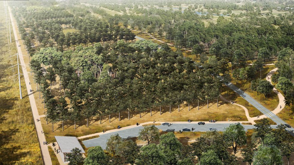 Memorial Park master plan March 2015 Rendering of grove by Hartness for NBW