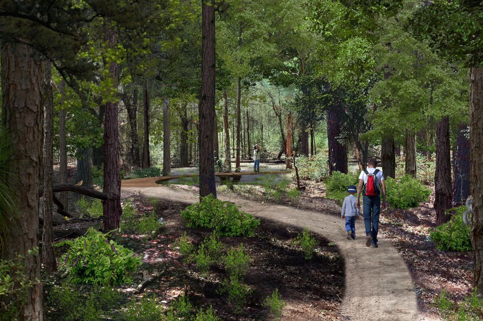 Memorial Park master plan March 2015 Rendering of Nature Trail by Nelson Byrd Woltz