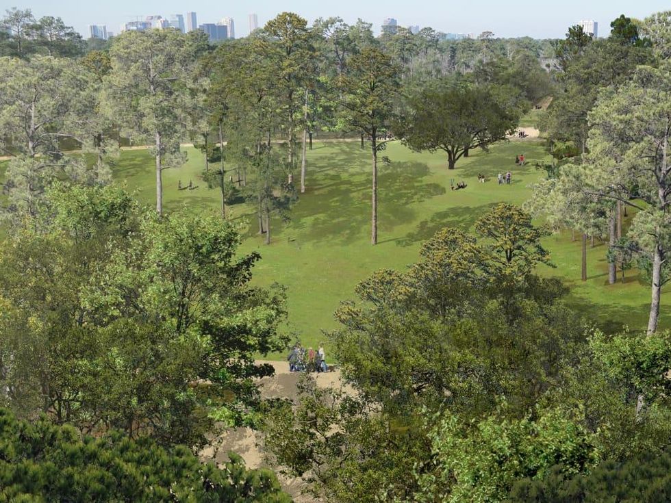 Memorial Park's New Eastern Glades Provides An Urban Wilderness