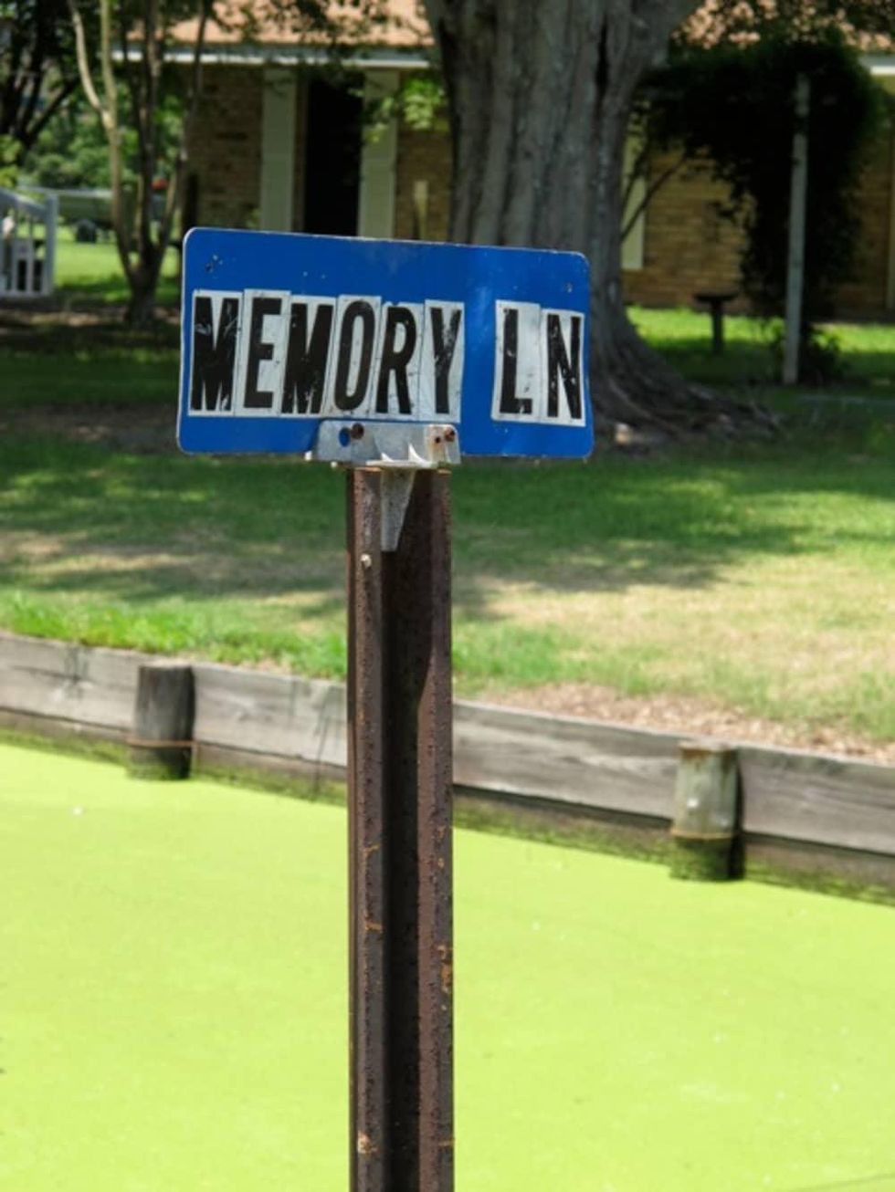 Memory Lane