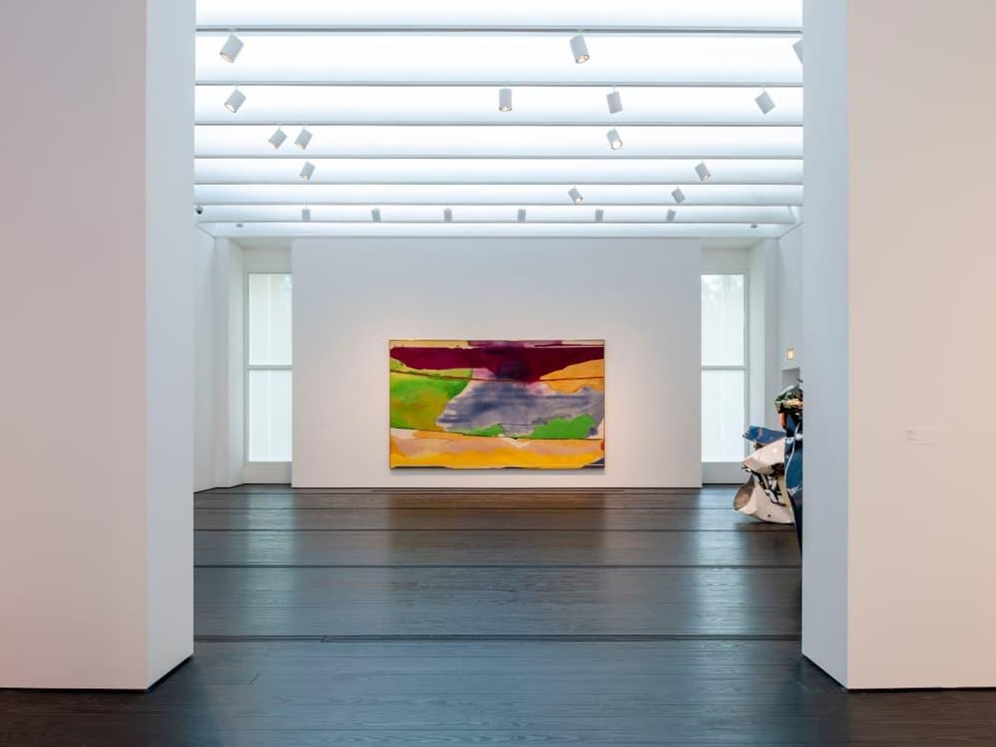 Menil Collection Installation view of Helen Frankenthaler, Hybrid Vigor, 1973