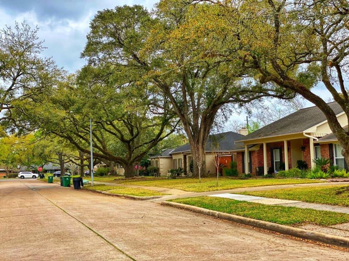 Meyerland's midcentury ranch homes, with spacious lots and parks, are