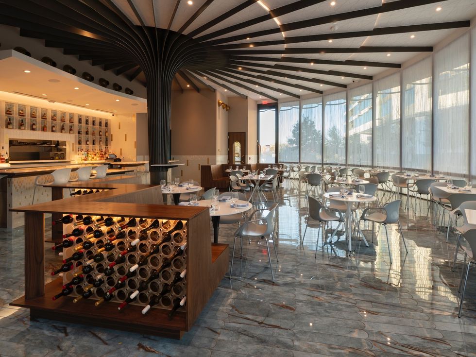 MF Lobster and Ceviche interior