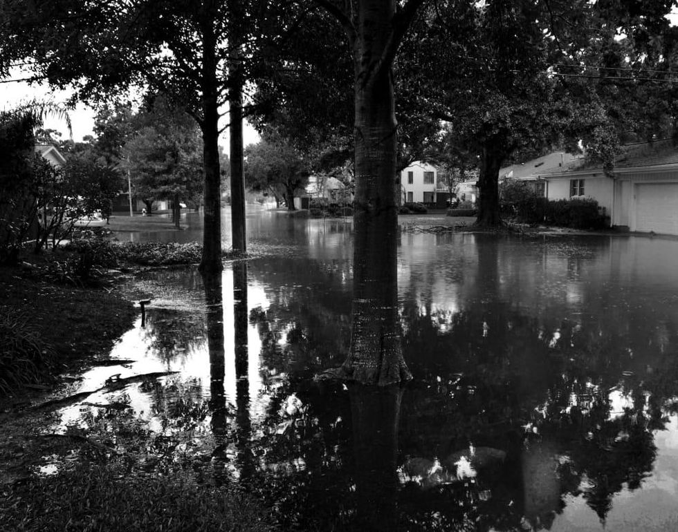 MFAH: Eye on Houston, Only Rivers