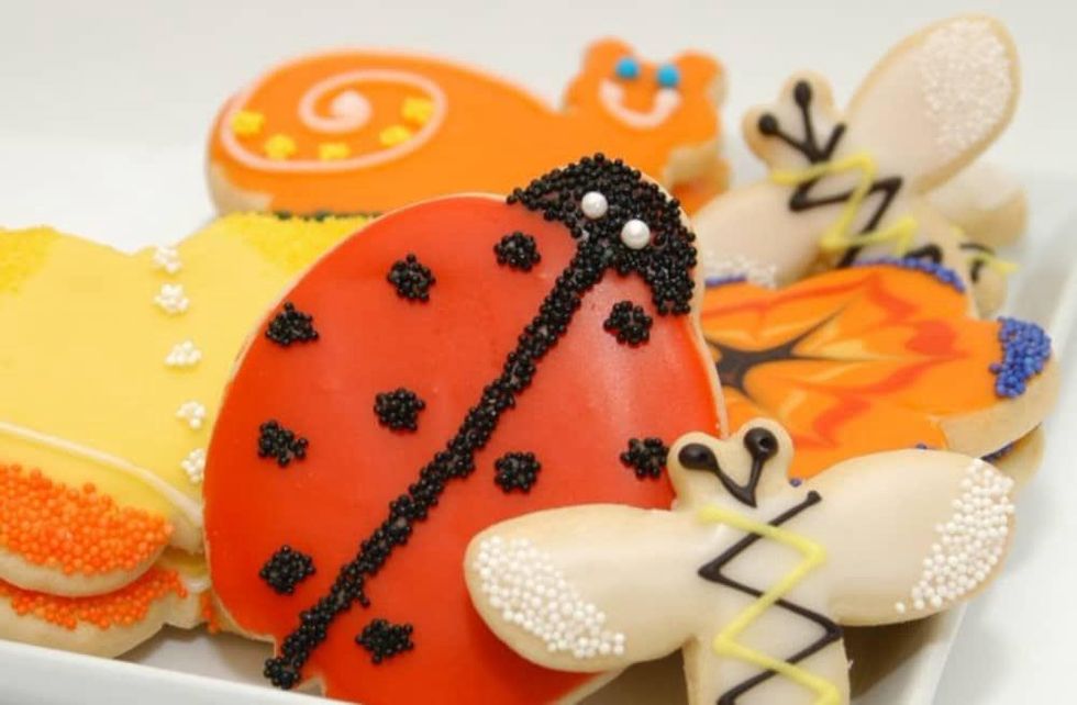 Michael's Cookie Jar Hands-on Cooking Class: Making Decorated Cookies