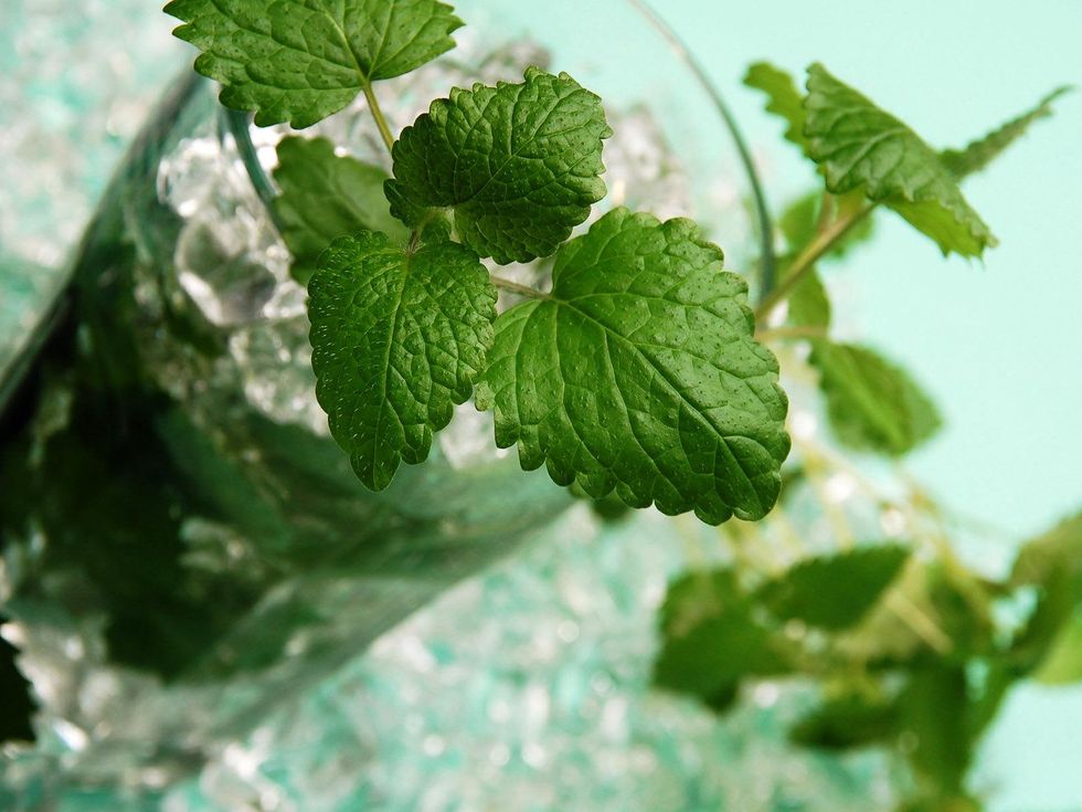 Mojito drink cocktail