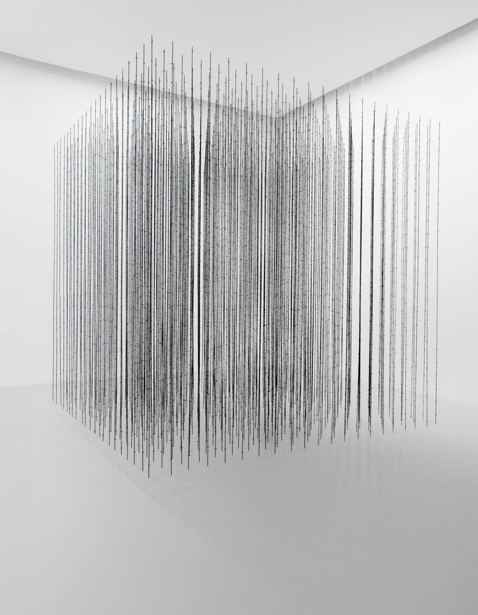 Mona Hatoum: Terra Infirma, Impenetrable, 2009