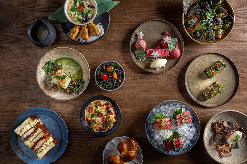 Money Cat food spread