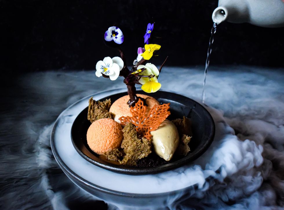 Money Cat restaurant autumn bonsai