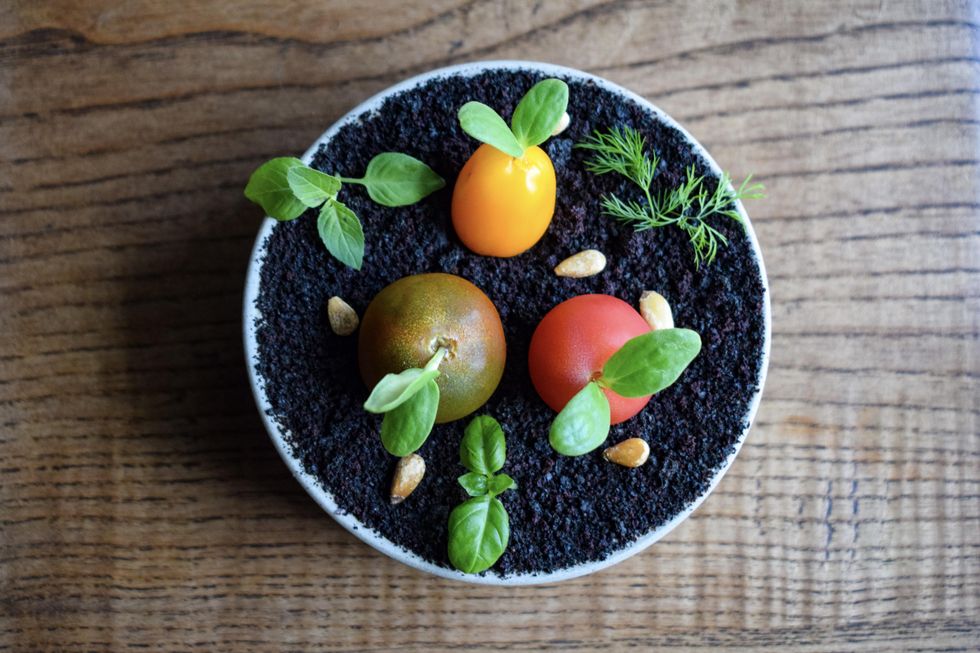 Money Cat restaurant tomato garden