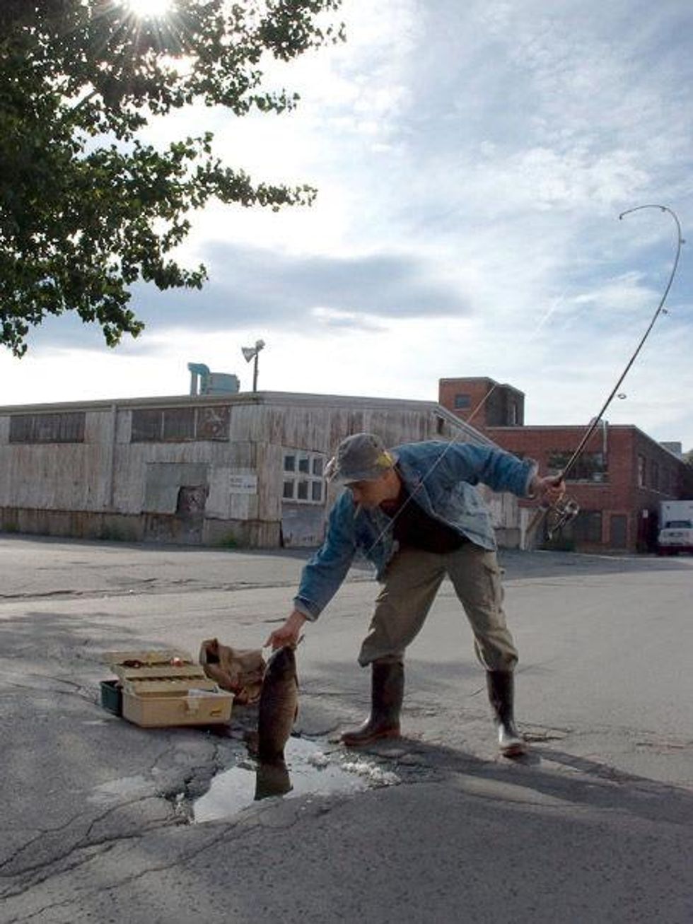 Montrose District, potholes, fishing
