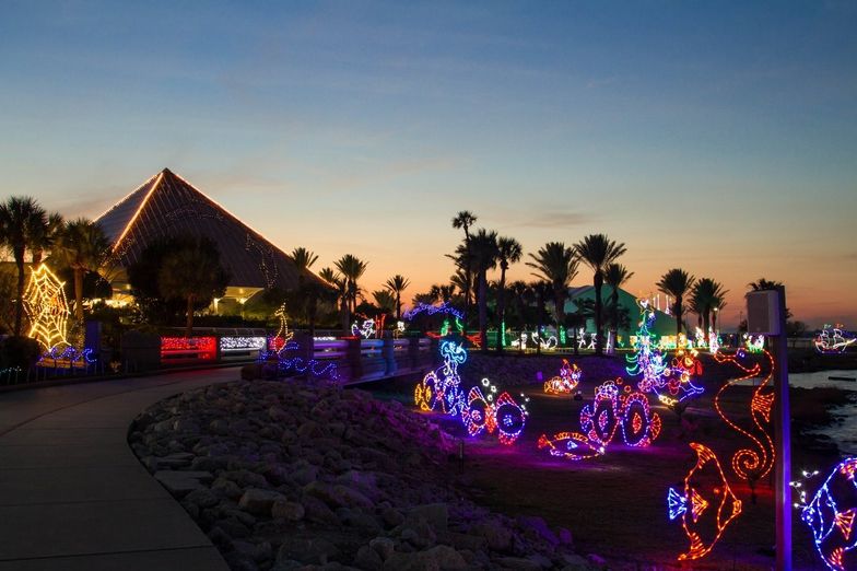 Moody Gardens Fireworks New Years Eve Fasci Garden