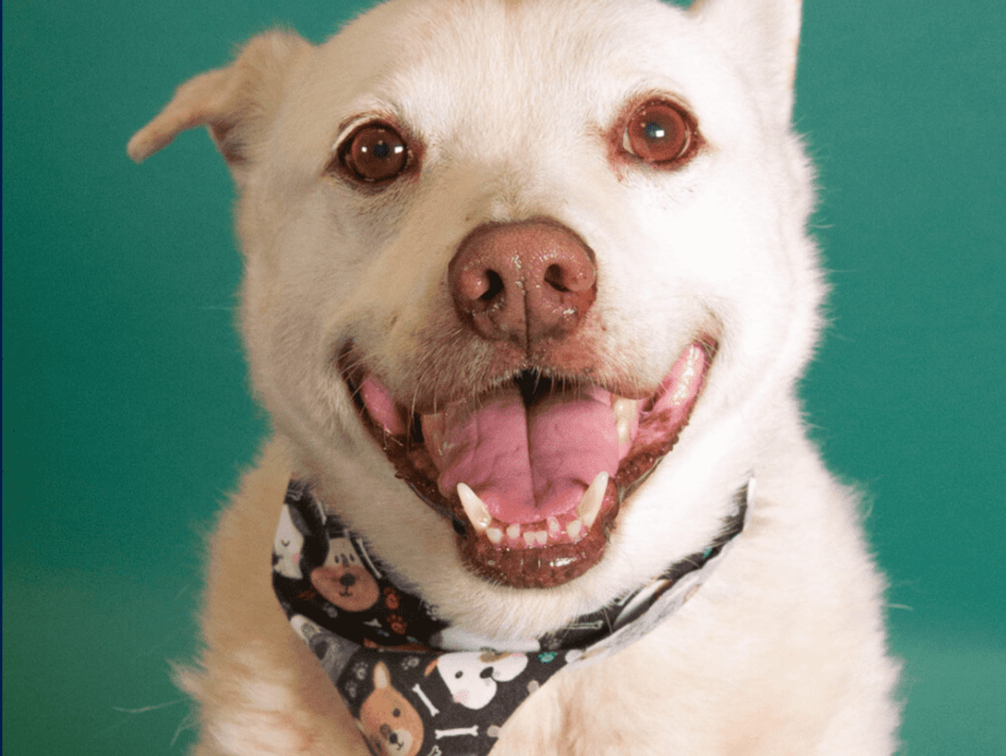 Mr. Shelby is one happy guy.