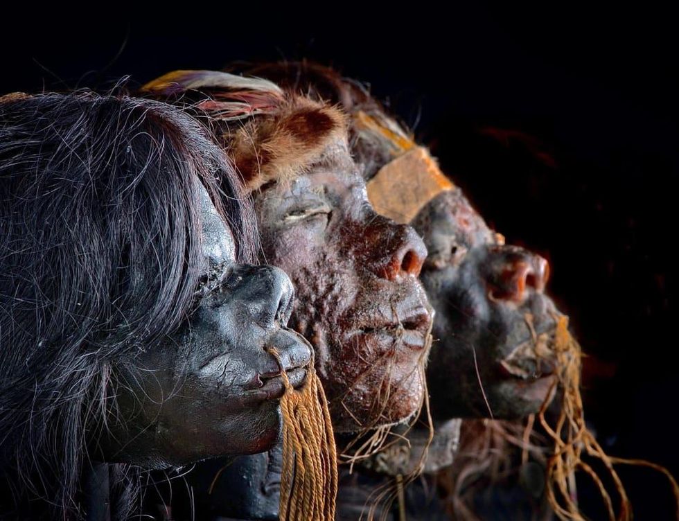 Mummies of the World at HMNS