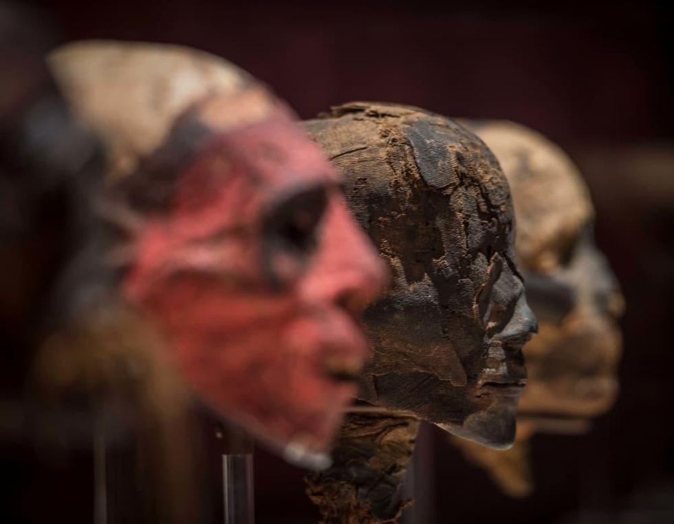 Mummies of the World at HMNS