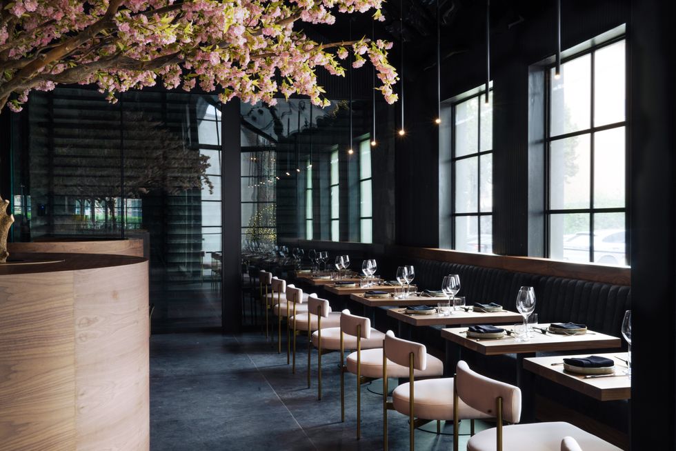 Muse restaurant interior