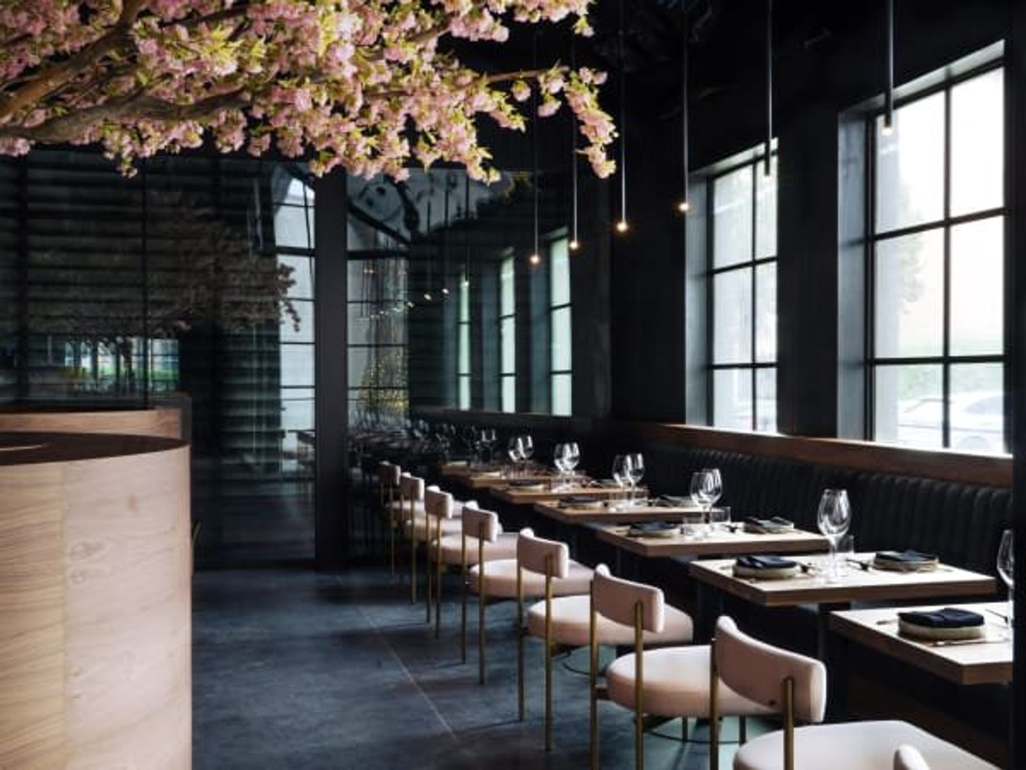 Muse restaurant interior